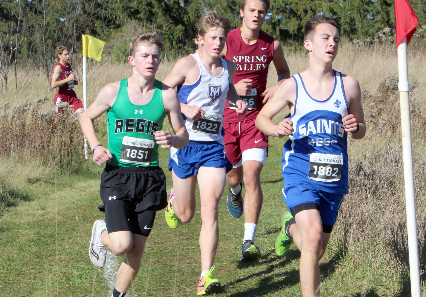 Division 3 Cross Country Sectionals in Boyceville 10-26-19